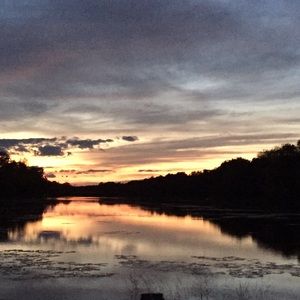 Meet your Posher, Sammy