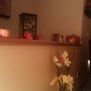 Meet your Posher, Shelly