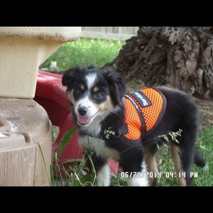 Meet your Posher, Dana