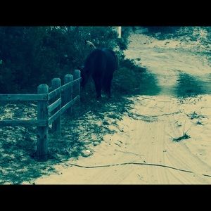 Meet your Posher, La