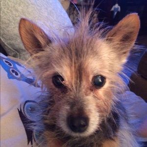 Meet your Posher, Sherry