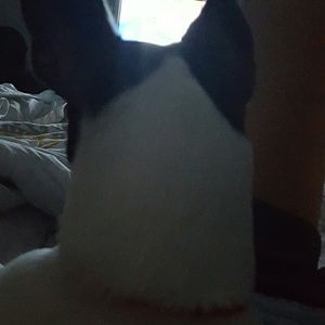 Meet your Posher, Maggie