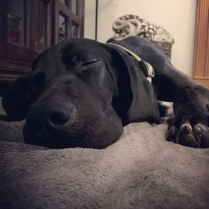 Meet your Posher, Mel