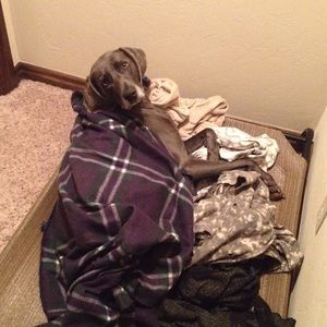 Meet your Posher, Raelyn