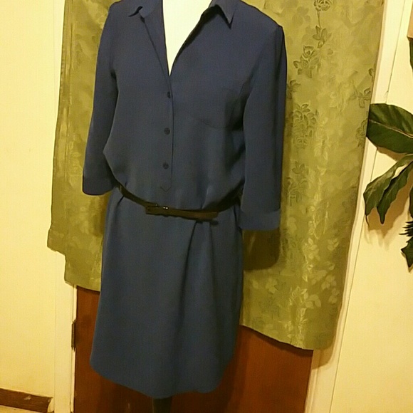 The Limited Shirt dress