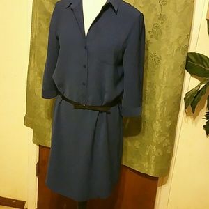 The Limited Shirt dress