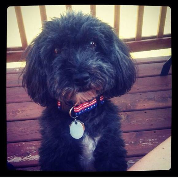 Meet your Posher, Penny