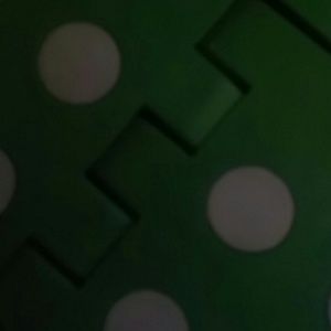 Meet your Posher, Rose