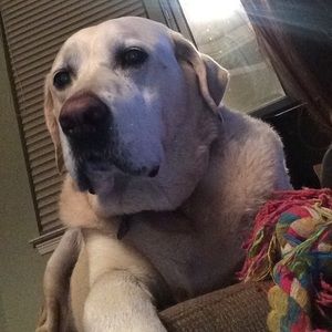 Meet your Posher, Mallory