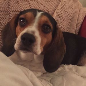 Meet your Posher, Lexi