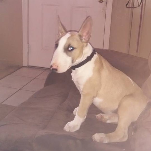 Meet your Posher, Chucky