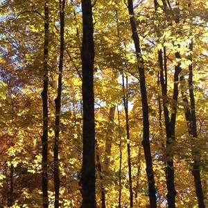 Meet your Posher, Penny