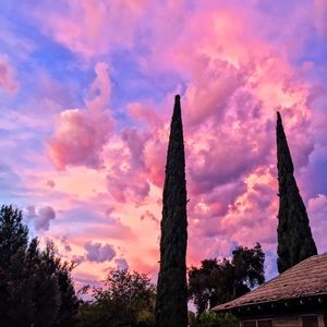 Bundle for @dhp444✨