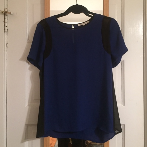 Sheer t-shirt blouse
