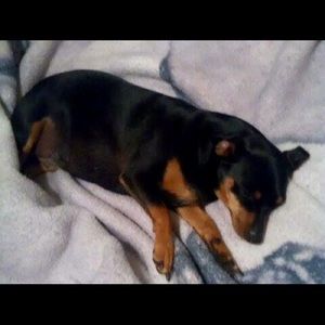 Meet your Posher, Raquel