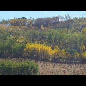 Meet your Posher, Bea