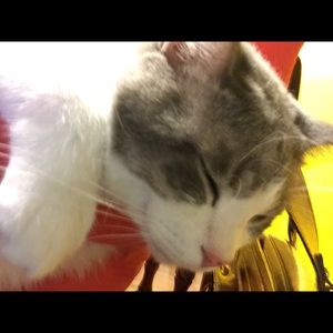 Meet your Posher, Yara