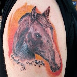 Meet your Posher, Josh