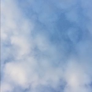 Meet your Posher, Abigail