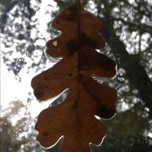 Meet your Posher, Zoe