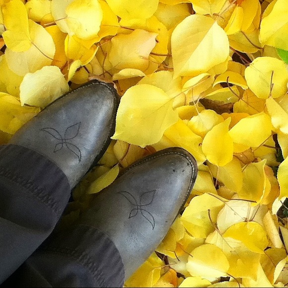 Meet Cameron. - Picture 4 of 4