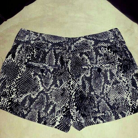 Express snakeskin shorts