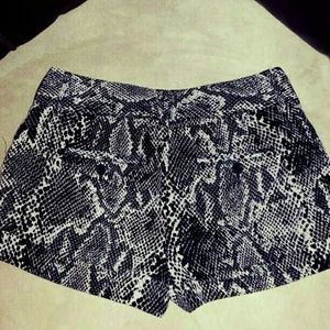 Express snakeskin shorts
