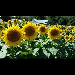 Meet your Posher, Christy