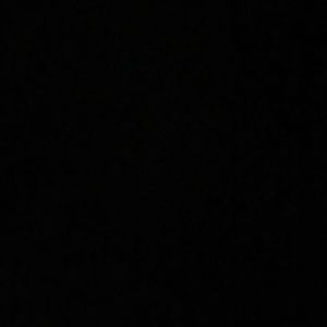 Meet your Posher, Flavius