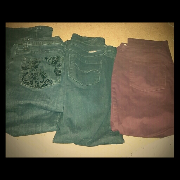 Petite plus size pants