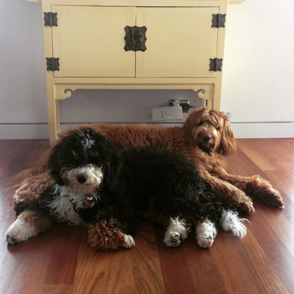 Meet your Posher, Nicole - Picture 3 of 3