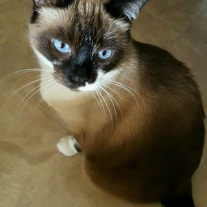 Meet your Posher, Karen