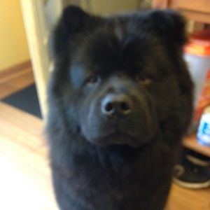 Meet your Posher, Julie