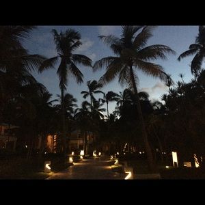 Meet your Posher, Asel