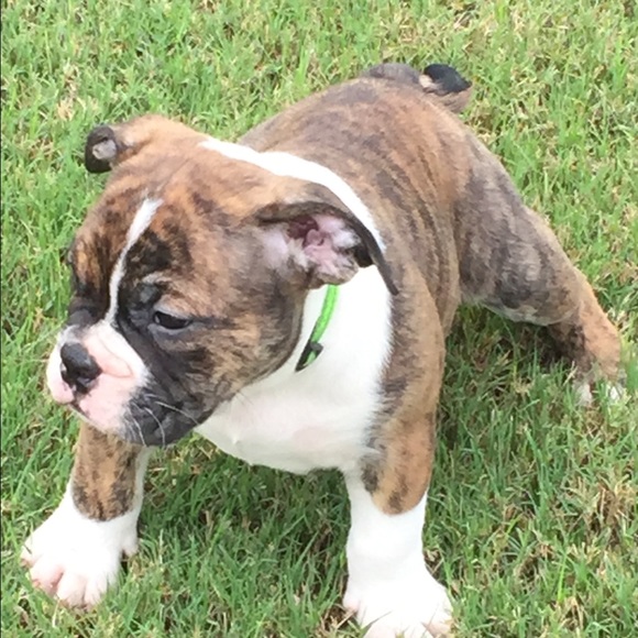 Meet your Posher, Jenise