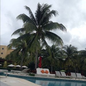 Meet your Posher, Joy