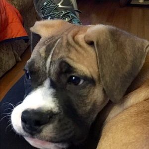 Meet your Posher, Kim