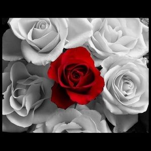 Meet your Posher, Nermina