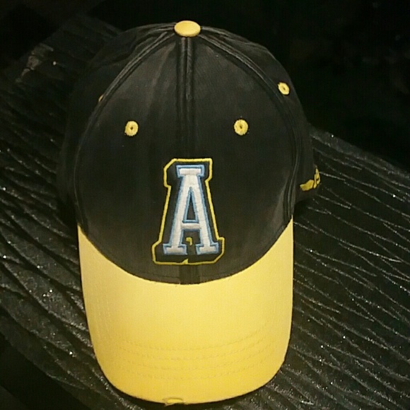 American Eagle Fitted Cap