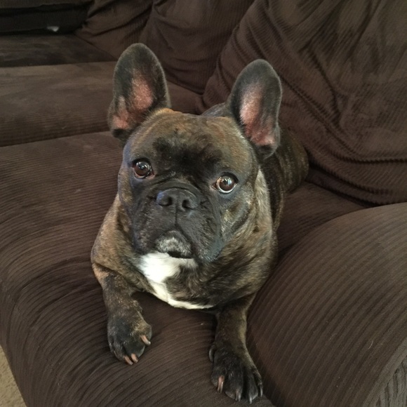 Meet your Posher, Marcy - Picture 1 of 1