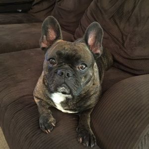 Meet your Posher, Marcy