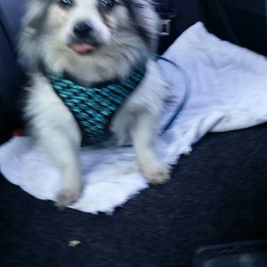 Meet your Posher, Tania