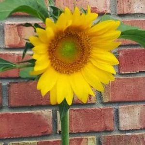 Meet your Posher, Pat