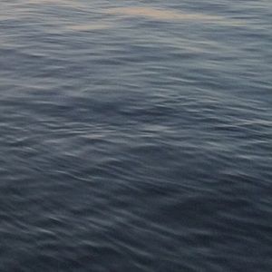 Meet your Posher, Annelise