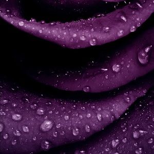 Meet your Posher, Kellie