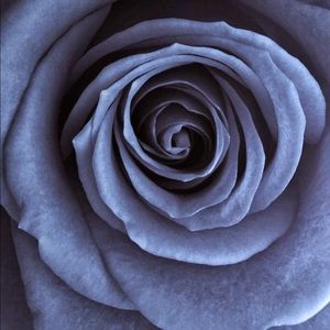 Meet your Posher, Lupe