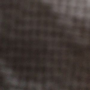 Meet your Posher, Bridgett