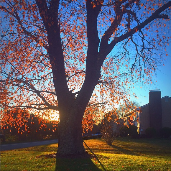 Meet your Posher, Audrey