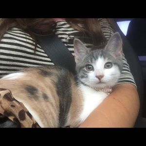 Meet your Posher, Ashley