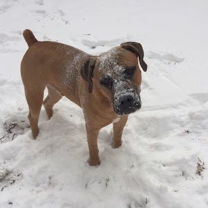 Meet your Posher, Denae